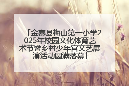 金寨县梅山第一小学2025年校园文化体育艺术节暨乡村少年宫文艺展演活动圆满落幕