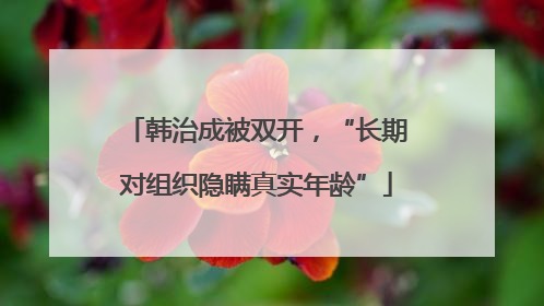 韩治成被双开，“长期对组织隐瞒真实年龄”