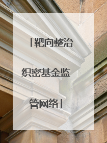 靶向整治织密基金监管网络