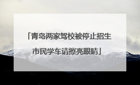 青岛两家驾校被停止招生 市民学车请擦亮眼睛