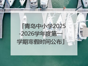 青岛中小学2025-2026学年度第一学期寒假时间公布