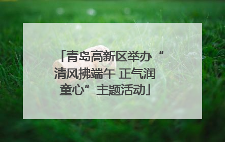 青岛高新区举办“清风拂端午 正气润童心”主题活动