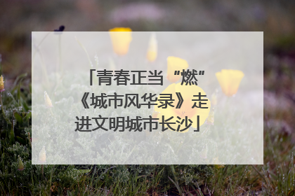 青春正当“燃”《城市风华录》走进文明城市长沙