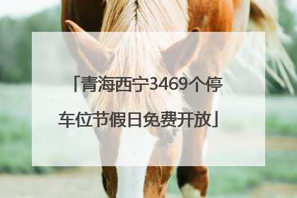青海西宁3469个停车位节假日免费开放
