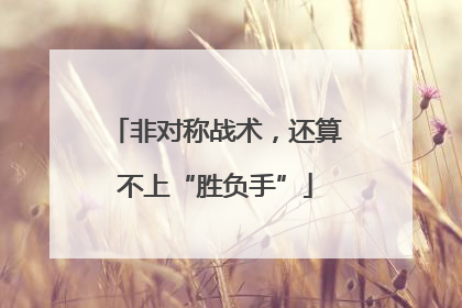 非对称战术，还算不上“胜负手”