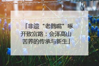 非遗“老鹳嘴”啄开致富路：会泽高山苦荞的传承与新生