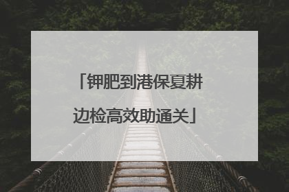 钾肥到港保夏耕 边检高效助通关