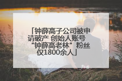 钟薛高子公司被申请破产 创始人账号“钟薛高老林”粉丝仅1800余人