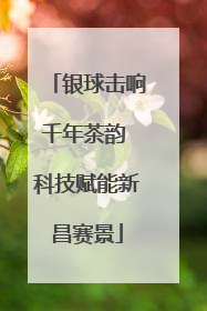 银球击响千年茶韵 科技赋能新昌赛景