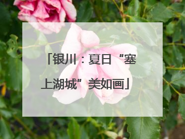 银川：夏日“塞上湖城”美如画