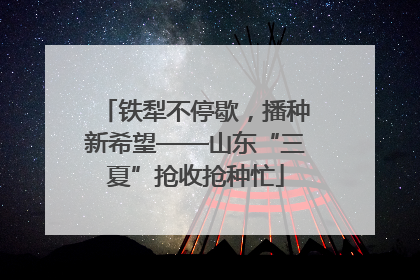 铁犁不停歇，播种新希望——山东“三夏”抢收抢种忙