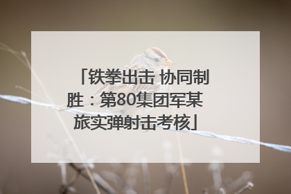 铁拳出击 协同制胜：第80集团军某旅实弹射击考核