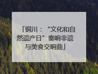 铜川：“文化和自然遗产日”奏响非遗与美食交响曲