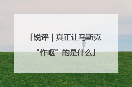 锐评｜真正让马斯克“作呕”的是什么