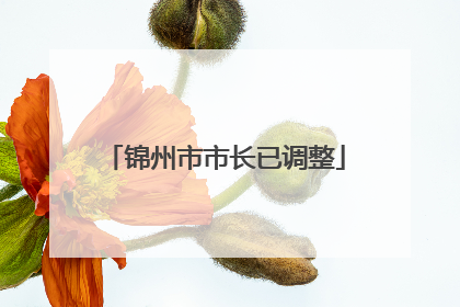 锦州市市长已调整