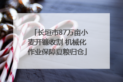 长垣市87万亩小麦开镰收割 机械化作业保障夏粮归仓