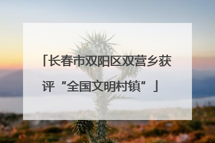 长春市双阳区双营乡获评“全国文明村镇”
