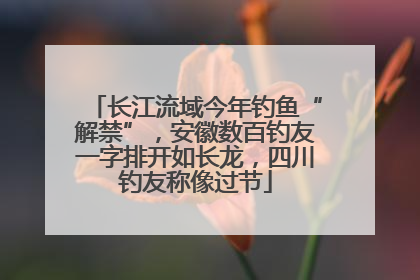长江流域今年钓鱼“解禁”，安徽数百钓友一字排开如长龙，四川钓友称像过节