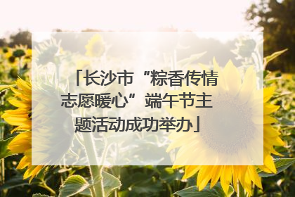 长沙市“粽香传情志愿暖心”端午节主题活动成功举办