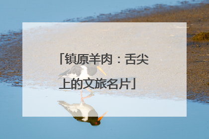 镇原羊肉：舌尖上的文旅名片