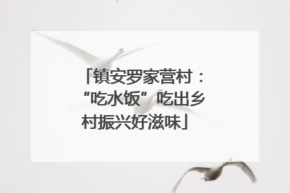 镇安罗家营村：“吃水饭”吃出乡村振兴好滋味