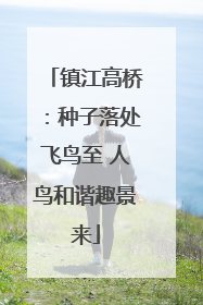 镇江高桥：种子落处飞鸟至 人鸟和谐趣景来
