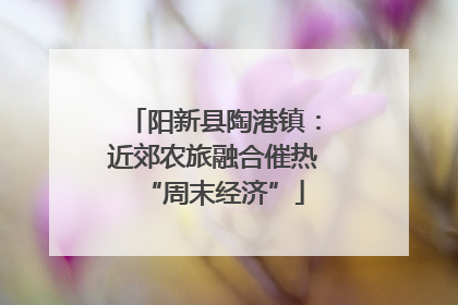 阳新县陶港镇：近郊农旅融合催热“周末经济”