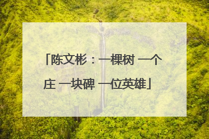 陈文彬：一棵树 一个庄 一块碑 一位英雄