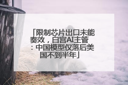 限制芯片出口未能奏效，白宫AI主管：中国模型仅落后美国不到半年