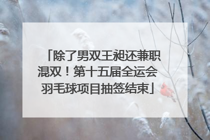 除了男双王昶还兼职混双！第十五届全运会羽毛球项目抽签结束