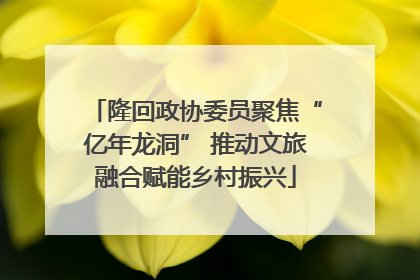 隆回政协委员聚焦“亿年龙洞” 推动文旅融合赋能乡村振兴