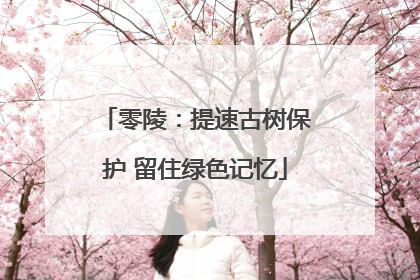 零陵：提速古树保护 留住绿色记忆