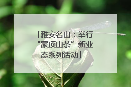 雅安名山：举行“蒙顶山茶”新业态系列活动
