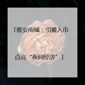 雅安雨城：引摊入市 点亮“夜间经济”