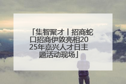 集智聚才丨招商蛇口招商伊敦亮相2025年嘉兴人才日主题活动现场