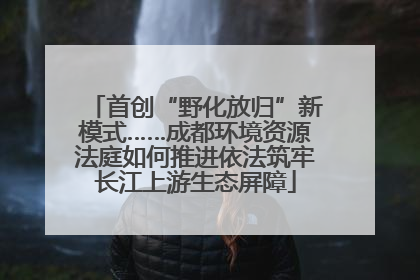 首创“野化放归”新模式……成都环境资源法庭如何推进依法筑牢长江上游生态屏障