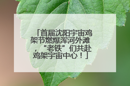 首届沈阳宇宙鸡架节燃爆浑河外滩，“老铁”们共赴鸡架宇宙中心！