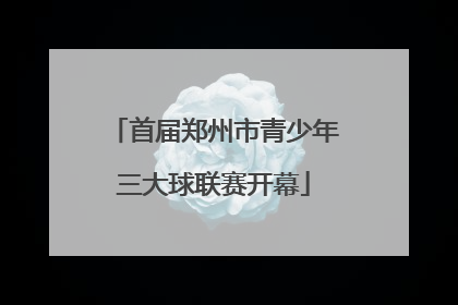 首届郑州市青少年三大球联赛开幕