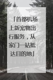 首都机场上新宠物出行服务，从家门一站抵达目的地