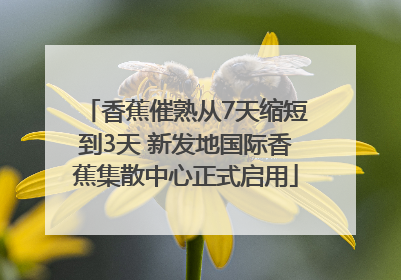 香蕉催熟从7天缩短到3天 新发地国际香蕉集散中心正式启用