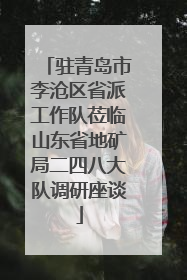 驻青岛市李沧区省派工作队莅临山东省地矿局二四八大队调研座谈