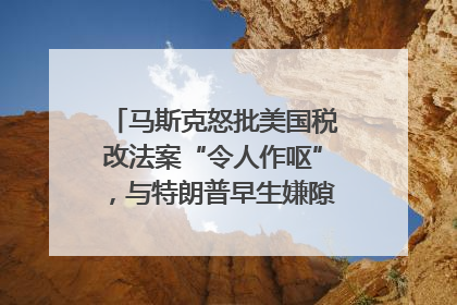 马斯克怒批美国税改法案“令人作呕”，与特朗普早生嫌隙？｜国际识局