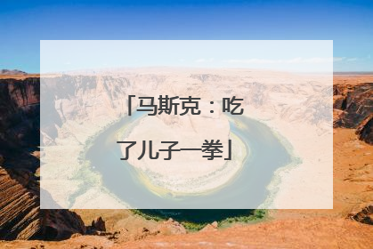 马斯克：吃了儿子一拳