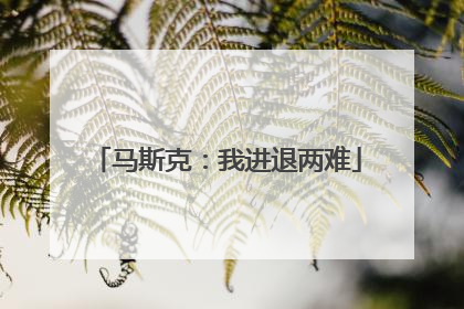 马斯克：我进退两难