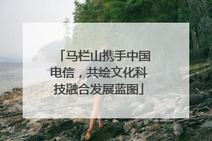 马栏山携手中国电信，共绘文化科技融合发展蓝图