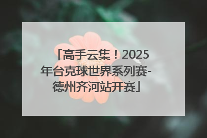高手云集！2025年台克球世界系列赛-德州齐河站开赛
