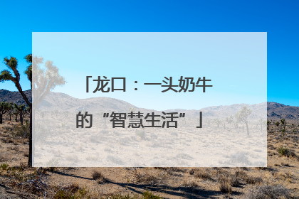 龙口：一头奶牛的“智慧生活”