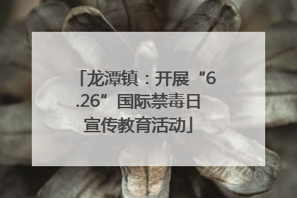 龙潭镇：开展“6.26”国际禁毒日宣传教育活动