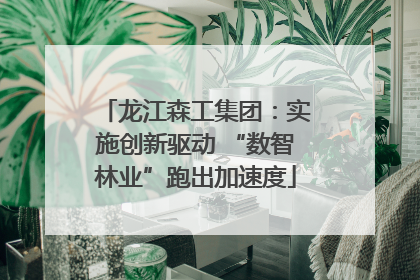 龙江森工集团：实施创新驱动 “数智林业”跑出加速度