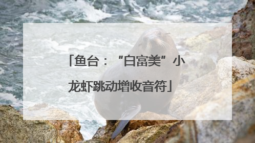 鱼台：“白富美”小龙虾跳动增收音符